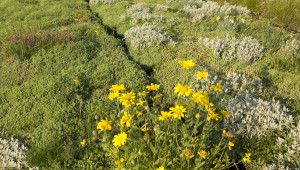 bloemenmat