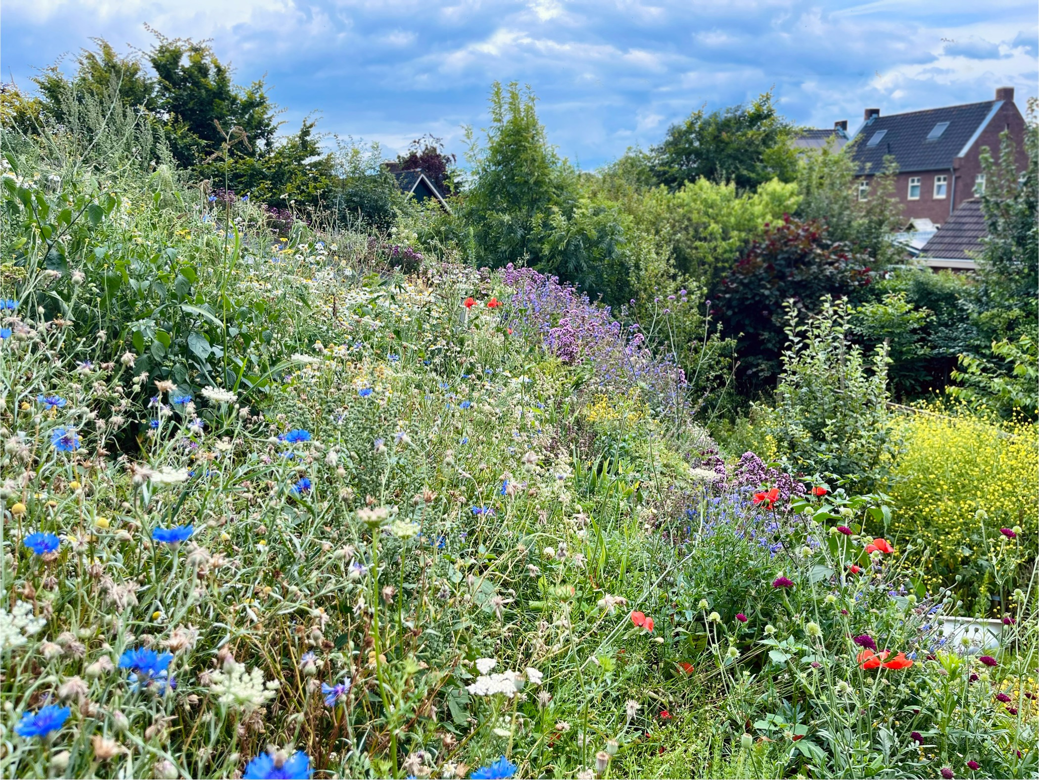 Loo Bloemendak