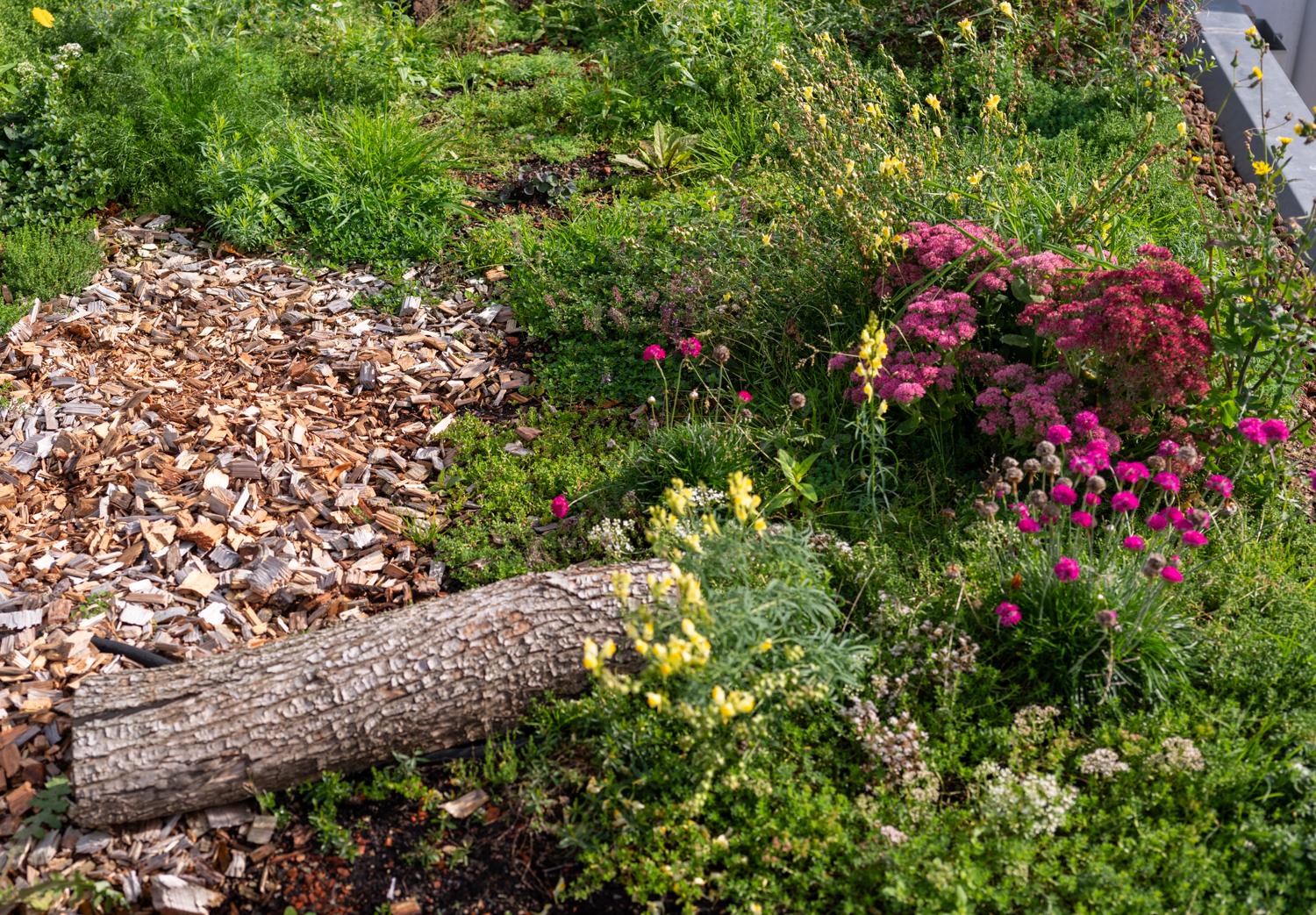 credits_Marjolein_Vinkenoog-EarthKweek-Diemen2-2023-39