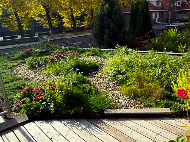 eko-groendak-tilburg-bekijken-nina-hovers